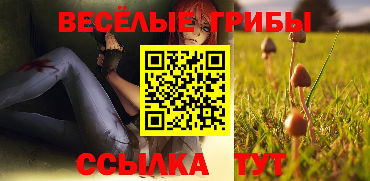 Псилоцибиновые грибы мицелий  наркота  Лангепас  Вход с VPN 